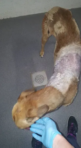 21032578 1813947398622951 1427329560972489095 n