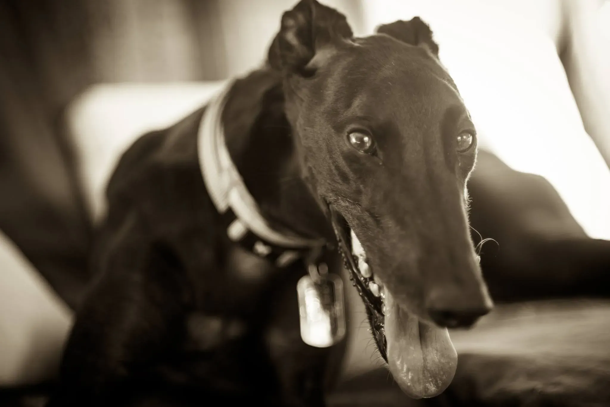 21055927 1469537109796806 4341405987813659443 o