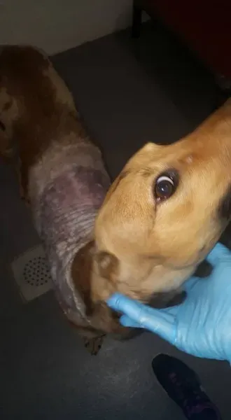 21077622 1813947278622963 1123981555209494014 n