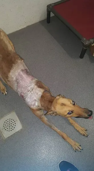 21077690 1813947228622968 2431367631627644623 n