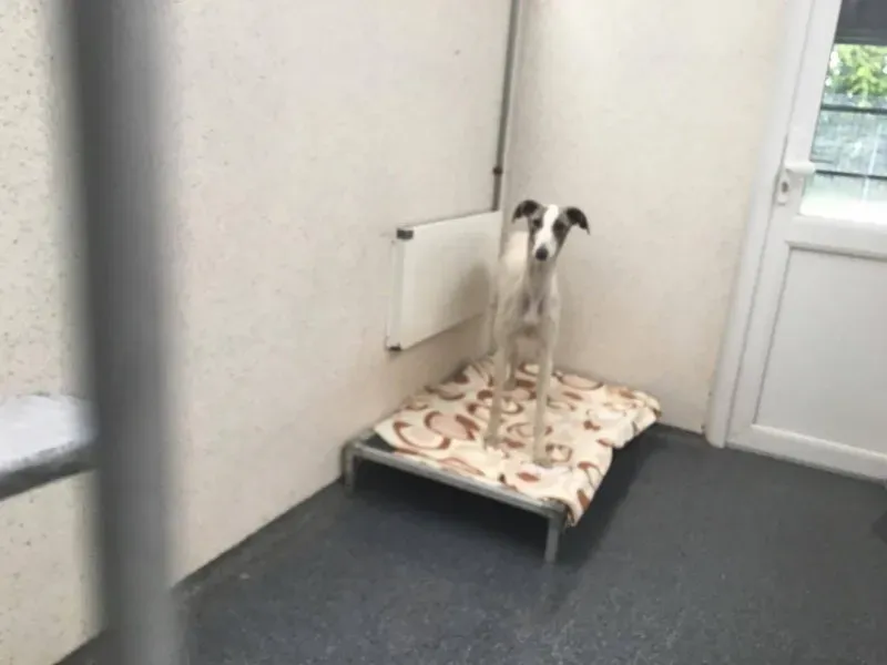 21171120 10154609384470194 2019879814 o