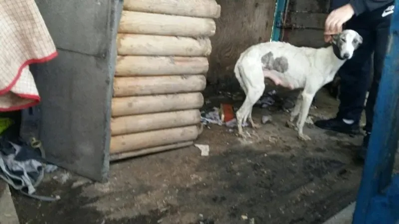 21191017 10154609397960194 189060552 o