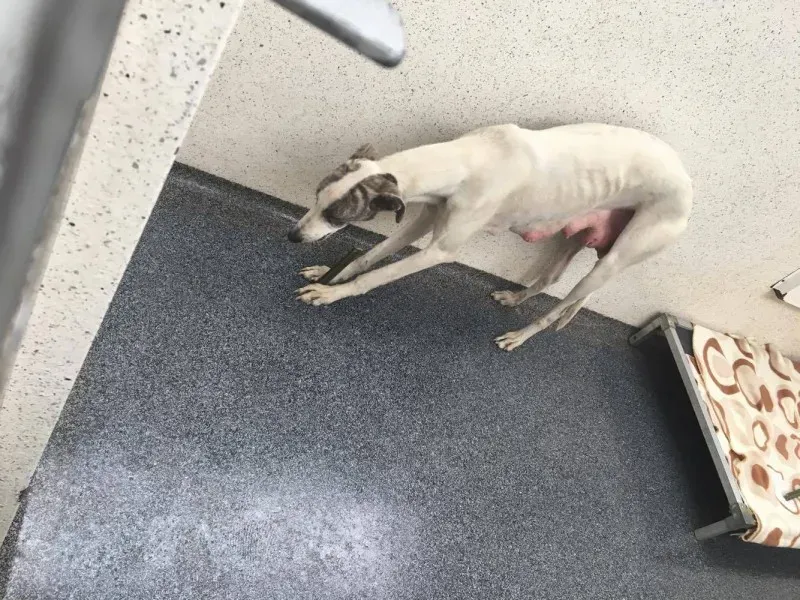 21191326 10154609384905194 1665691841 o