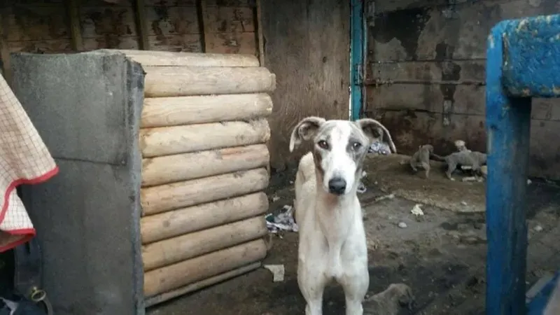 21198445 10154609397425194 10642186 o