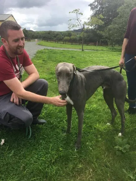 21246093 10154616135685194 1558210710 o