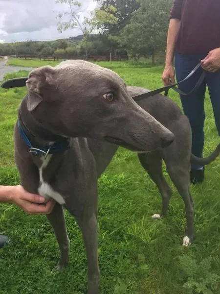 21246126 10154616135805194 1196622359 o