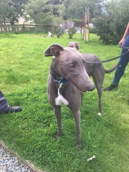 21247668 10154616135600194 2002638454 o