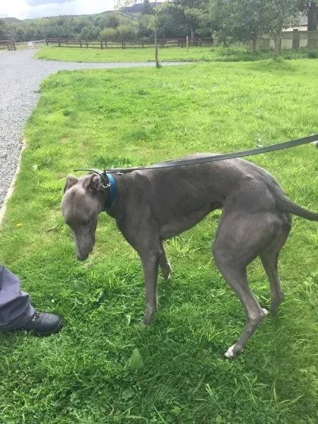 21247688 10154616135630194 1046132926 o