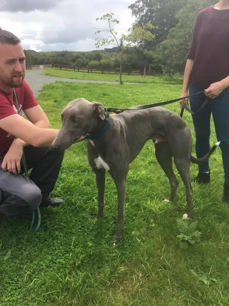 21247731 10154616135795194 989385433 o