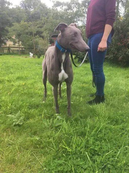 21247747 10154616136330194 1459672074 o