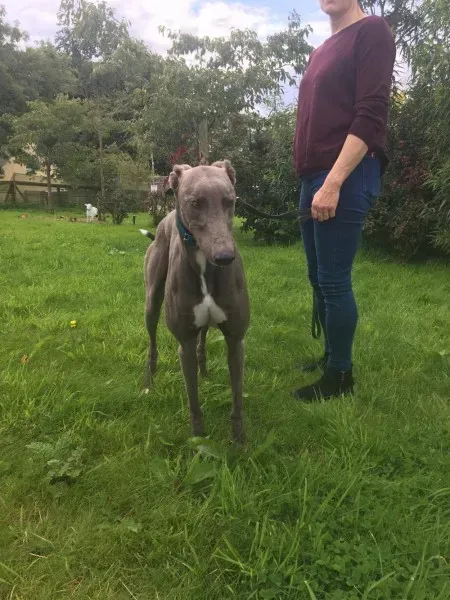 21247749 10154616136455194 864372342 o