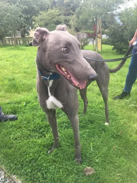 21247756 10154616135580194 1047213405 o