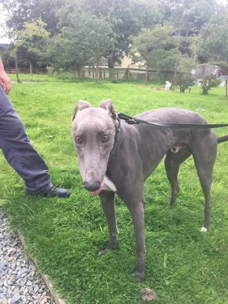 21247844 10154616135515194 1510965327 o