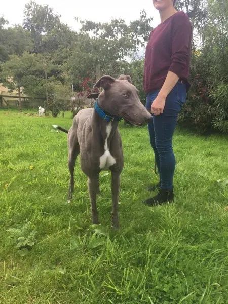 21247934 10154616136360194 1090534749 o