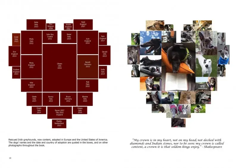 21248596 383842722033658 1865081280986138908 o