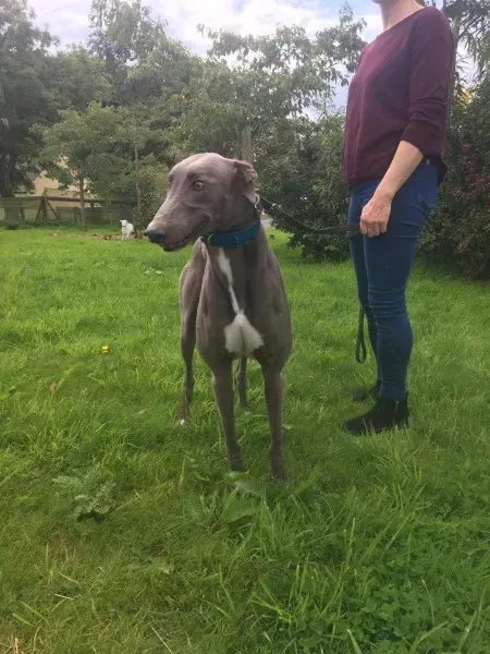 21267448 10154616136570194 668068037 o