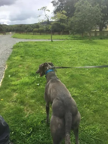 21267463 10154616135665194 2104007144 o