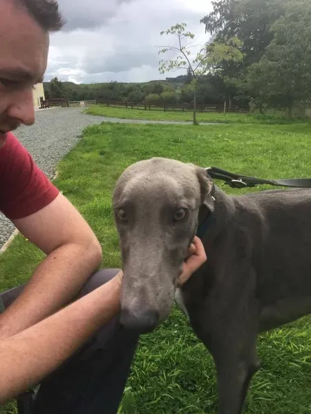 21267646 10154616135895194 496436740 o