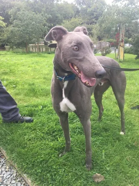 21267684 10154616135570194 1489364570 o