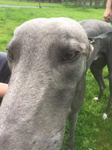 21267743 10154616135885194 1638500456 o