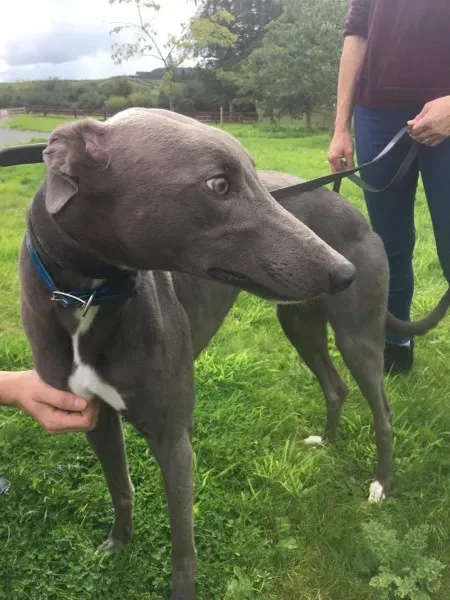 21267758 10154616135830194 1401697562 o