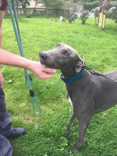 21267999 10154616135490194 620296805 o