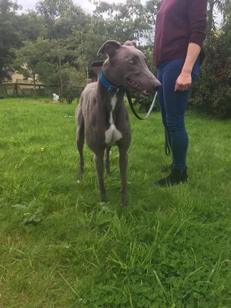 21268071 10154616136200194 787159956 o