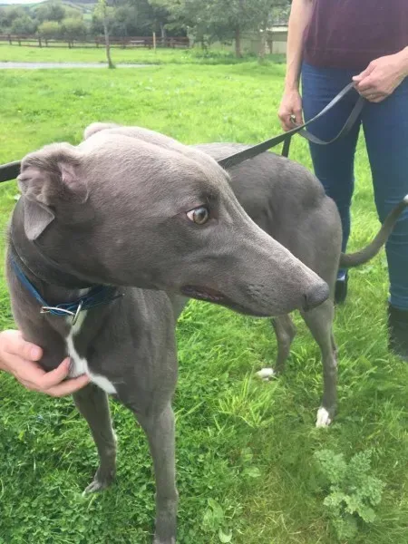 21268109 10154616135875194 1928520376 o