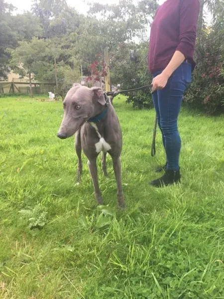 21268117 10154616136695194 1035500971 o