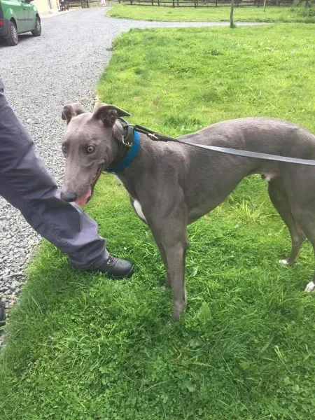 21268208 10154616135610194 1917077481 o