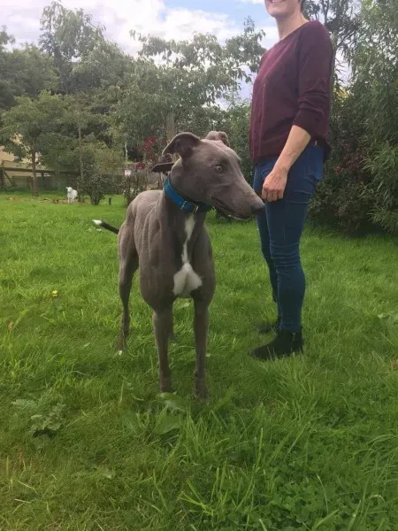 21268398 10154616136350194 1564160375 o