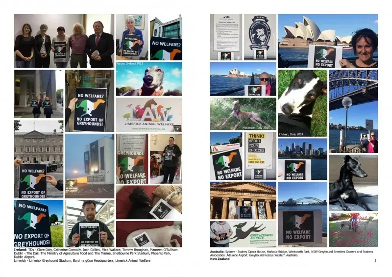 21272750 383842575367006 1512557483423824290 o