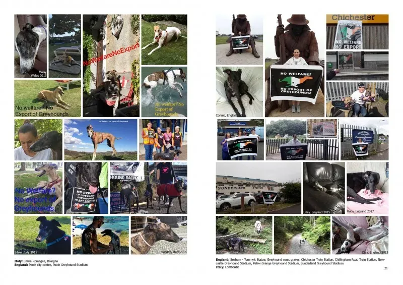 21272776 383842928700304 8180256870470725632 o