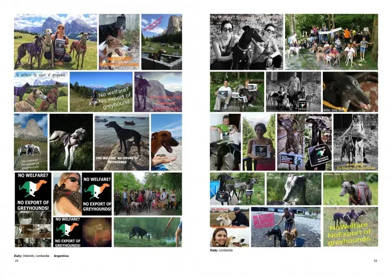 21273023 383842812033649 5789070315319476591 o