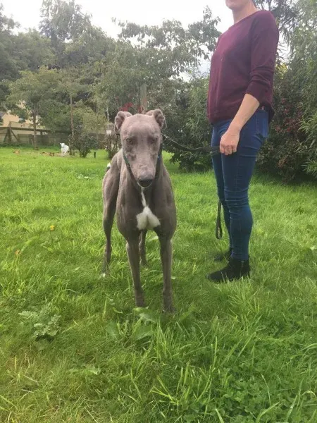 21277953 10154616136540194 86700757 o