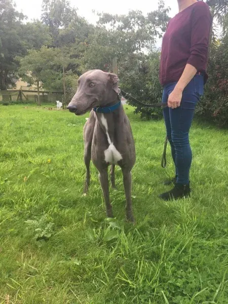 21284553 10154616136620194 511827760 o