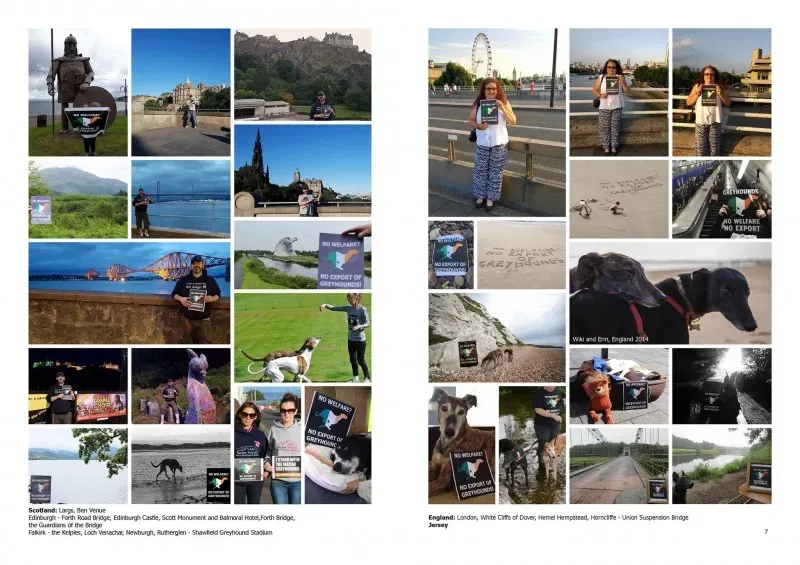 21316098 383842662033664 3116297908416100410 o