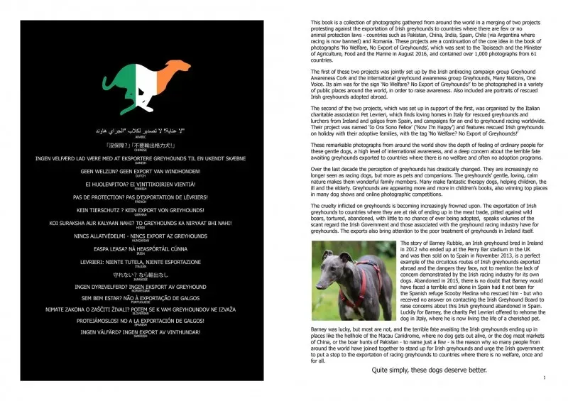 21316238 383842565367007 164004419381883191 o