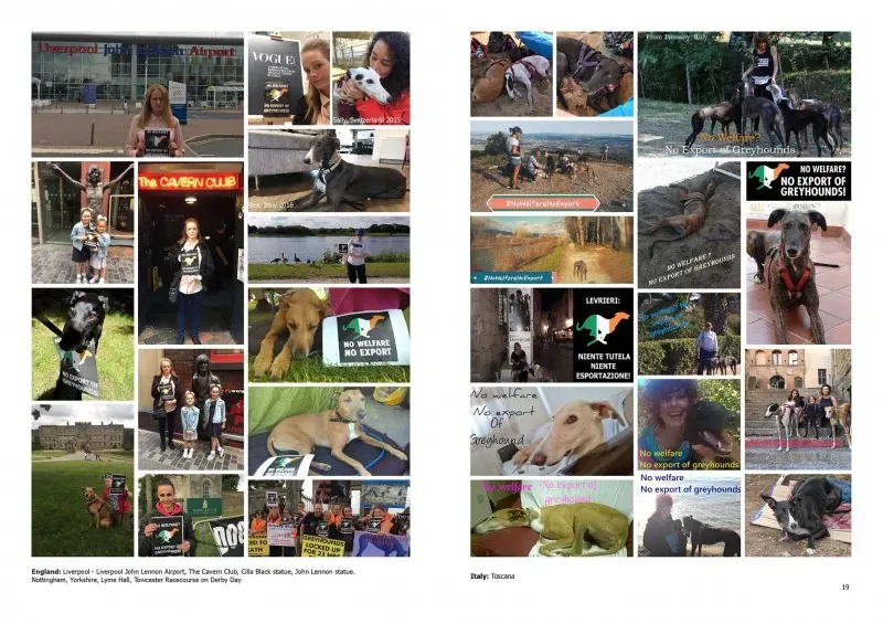 21316341 383842862033644 1430251938058078965 o