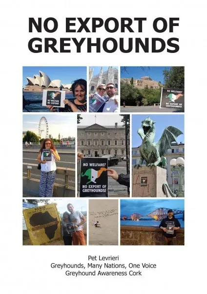 21318889 383842562033674 579691198798886024 o