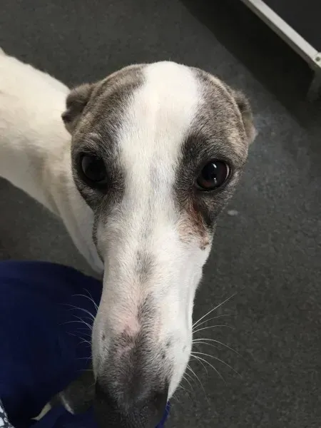 21362375 10154627874980194 909762711 o