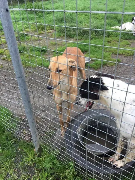 21362404 10154627881495194 115623786 o