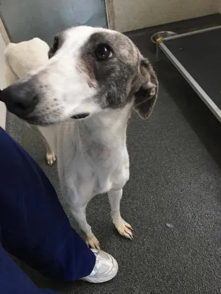 21363327 10154627875220194 1452500987 o