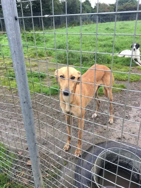 21363455 10154627882520194 661290086 o