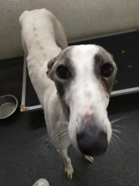 21363622 10154627875315194 1780133830 o