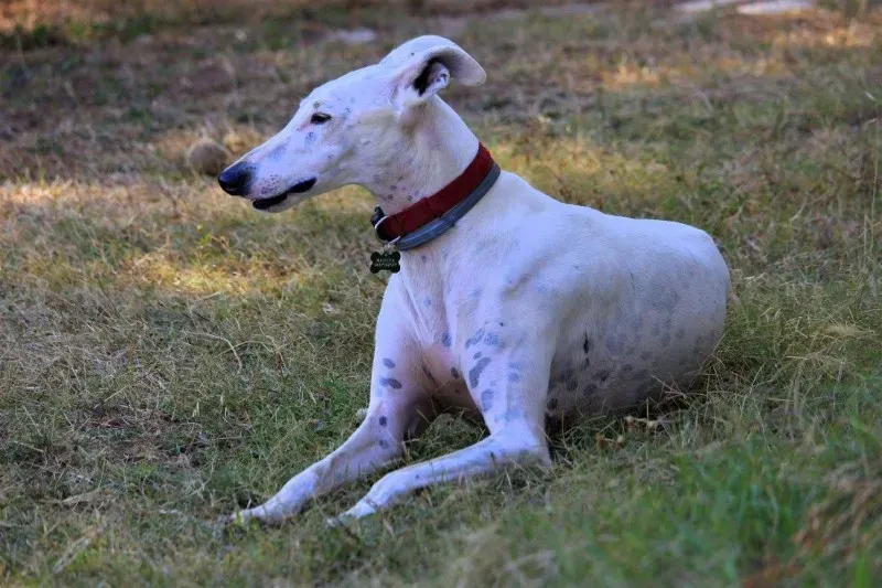 21366668 269566730199869 2249172938109031292 o