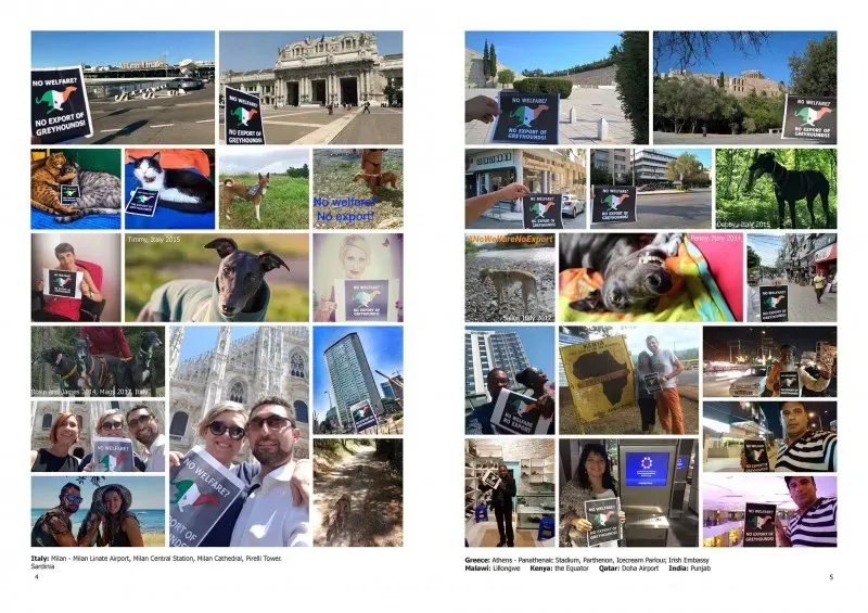 21366893 383842658700331 7138451037205139570 o