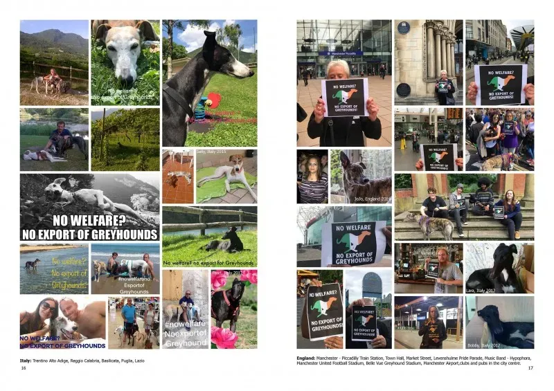 21368673 383842835366980 913896941428103799 o