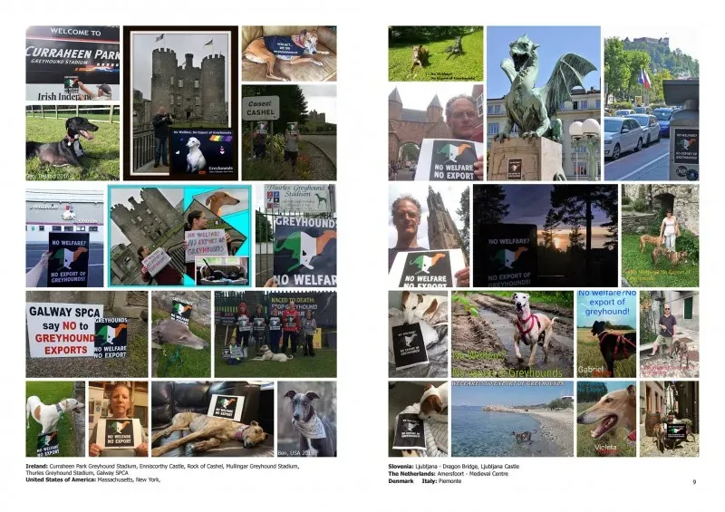 21368819 383842665366997 8951358973463766830 o