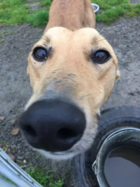 21389346 10154627881760194 2033399528 o